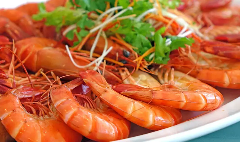Garnelen Shrimps Unterschied