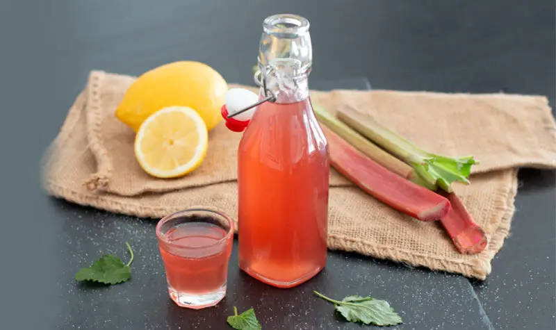 Fruchtiger Rhabarbersirup mit Zitronenmelisse